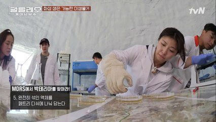 황량한 사막에도 생명체는 있다!? 그럼 화성에도...?