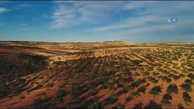 Sosyal Medyada Ben Antep'im Fırtınası