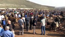 Doğu Anadolu'da kurban pazarlarında hareketlilik - KARS