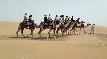 Overnight Desert Safari Dubai Camel Ride Highlights
