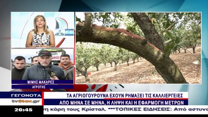 Σε απόγνωση οι αγρότες για τα αγριογούρουνα