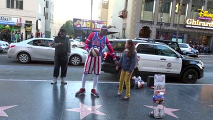 WHATS HER DEAL!!   David Dobrik