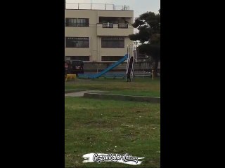 Kaydırağın Keyfini Çıkaran Köpekler