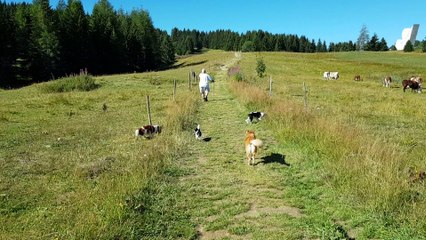 En promenade aux Glières 3