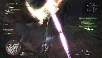 【MHW】会心率100%のロマン太刀「飛雷」プケプケ 02'20"78【モンハンワールド】