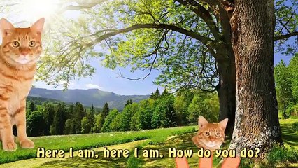 Finger Family Animals compilation | Daddy Finger Song | Finger Family Nursery Rhymes Colle