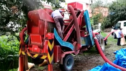 Fındık Patozcuları Sezondan Memnun Değil