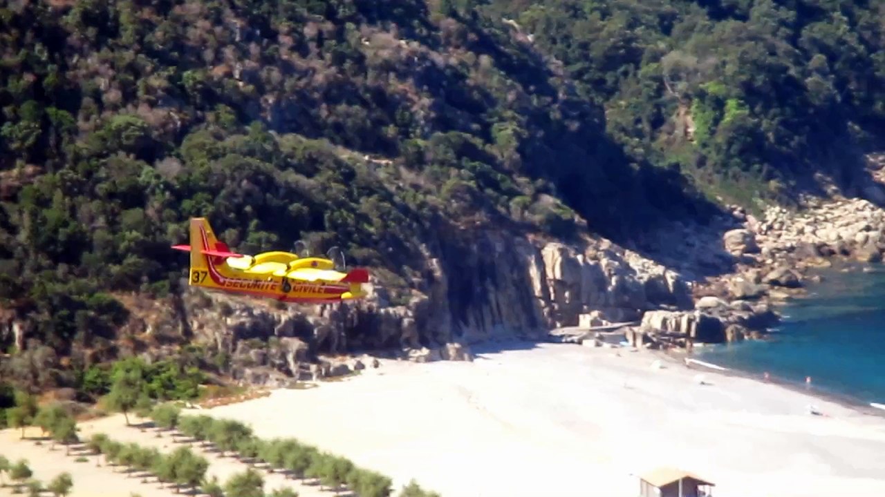 Carte postale d'un canadaire dans le Golfe de Porto - Corse