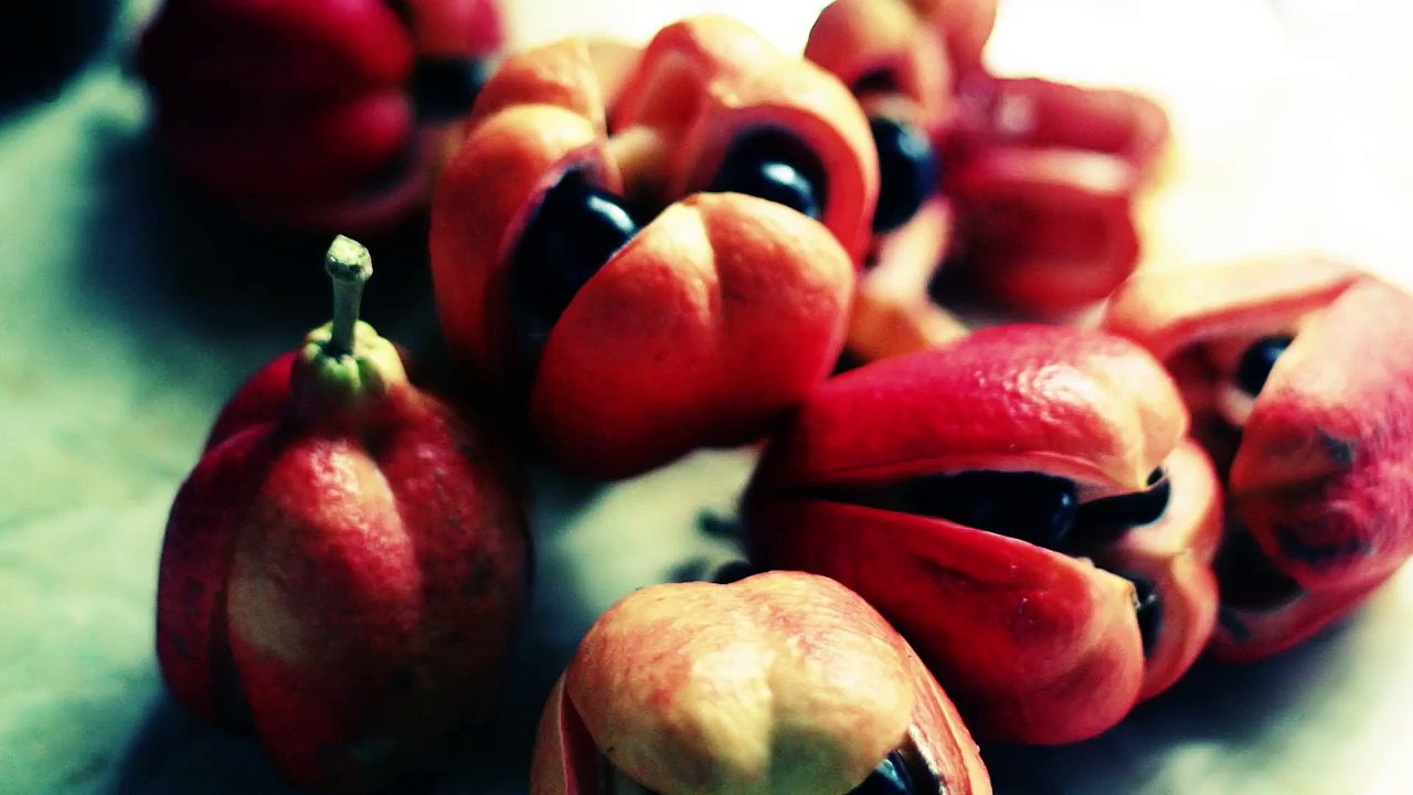 How To Eat Yourself To Death (Worlds 10 Deadliest Foods)
