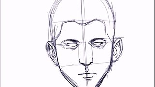 Sketching a Face Basic Proportions