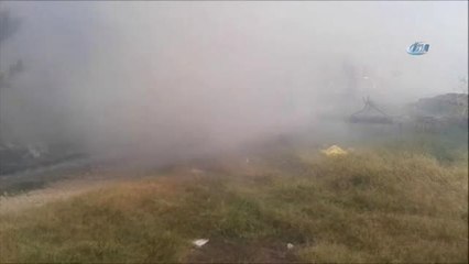 Atatürk Hatıra Ormanı'nda Yangın: 400 Çam Kül Oldu