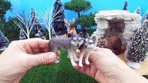 Cute Zoo Animals Grizzly Bear Deer Wolf Kids Toys CottonCandyCorner