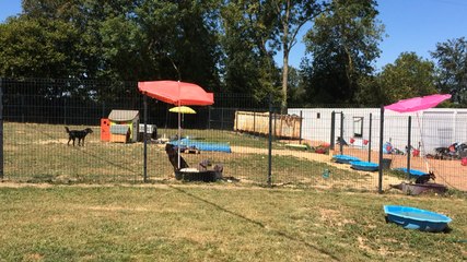 Suzi Handicap Animal tire la sonnette d’alarme