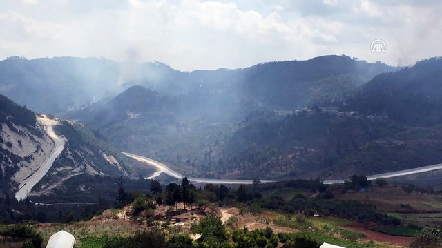 Suriye sınırında orman yangını - HATAY