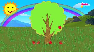 Color Song | Rainbow Color Song | Rhymes