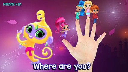 Shimmer and Shine Finger Family Song NEW! | Genie Finger Song