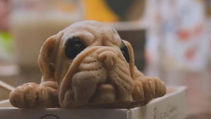 Ice cream puppies almost too real to devour