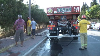 Çanakkale’de otluk alanda çıkan yangın evlere zarar verdi