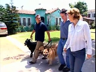 Dog Whisperer S01E16