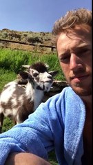 Un homme discute avec une chèvre