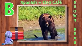 spanish for kids abc learning