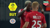 But Florent MOLLET (52ème) / Amiens SC - Montpellier Hérault SC - (1-2) - (ASC-MHSC) / 2018-19