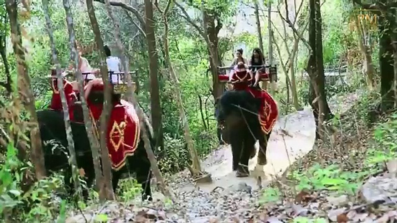វិស័យទេសចរណ៍ ជាវិស័យអាទិភាពមួយដែលត្រូវបានយកចិត្តទុកដាក់យ៉ាងខ្លាំងពីសំណាក់រាជរដ្ឋាភិបាលកម្ពុជា និងត្រូវបានចាត់ទុកវិស័យនេះថា «ជាមាសបៃតង» ដែលបានរួមចំណែកអភិវឌ្ឍន៍ ស