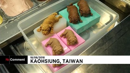 Cina: mangiare gli Shar-Pei? Sì, ma solo se di cioccolato