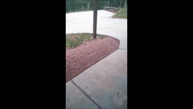 Grosse frayeur en sortant de chez lui... Flippant