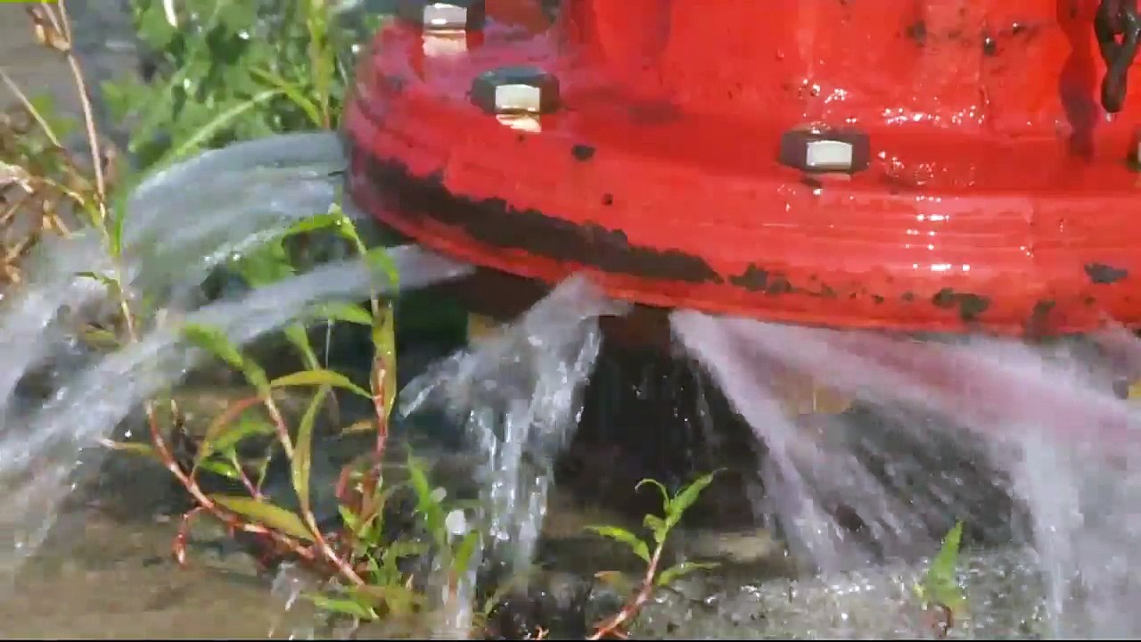 One Taken into Custody Following `Out of Control` Fire at Milwaukee Store