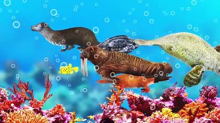 [EN] Fish toys for sea animals!! animal names for kids, kids animation, collecta ㅣCoCosToy