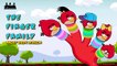 Finger Family Nursery Rhyme ANGRY BIRDS VersioN 3 Men Animations