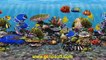 3D Fish School Aquarium Screensaver Tropical Fish Tank for Windows HD