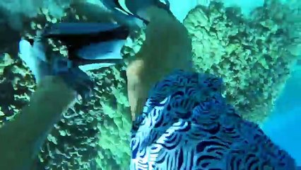 Make your Apple Watch 100% Waterproof - Catalyst Case Apple Watch Review