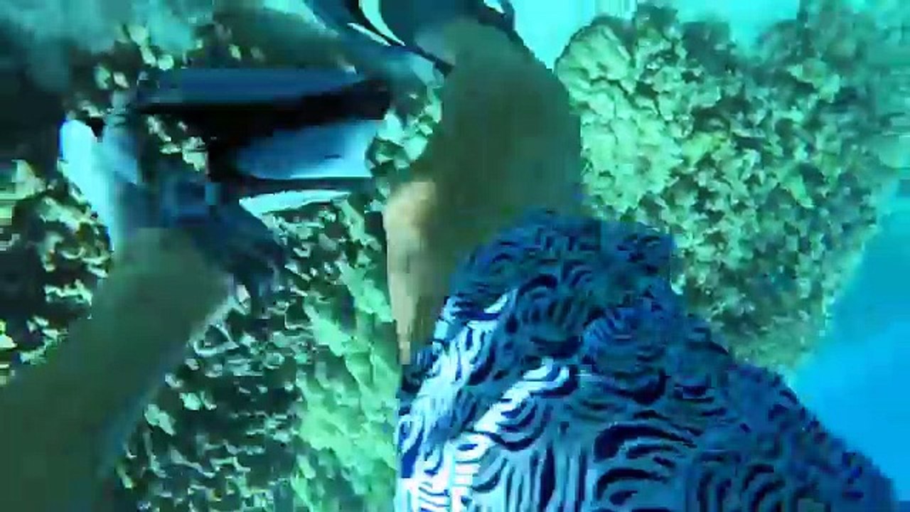 Make your Apple Watch 100% Waterproof - Catalyst Case Apple Watch Review