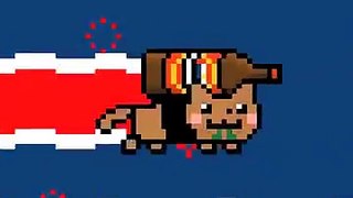 New Zealand Nyan Cat