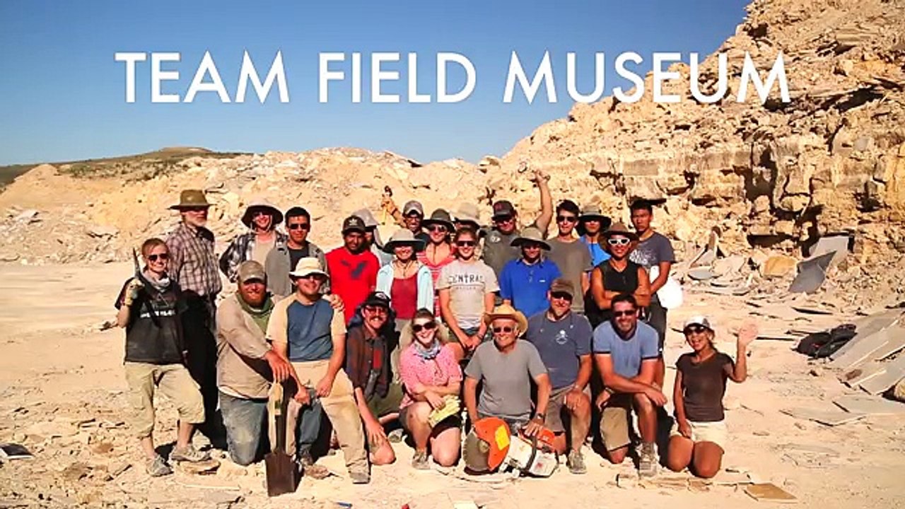 In Search of Fossil Fish