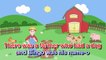 BINGO KARAOKE | Nursery Rhyme + Song Lyrics Sing With Your Kids & Toddlers!