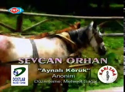Sevcan Orhan, Aynalı Körük