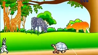 Telugu Panchatantra Stories Rabbit and Tortoise