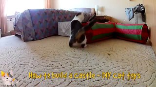 How to make Cat toys DIY Making a Castle Lesson No 2