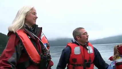 Sea Otters in Alaskas Glacier Bay