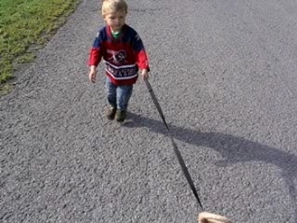 Famille 1 journee chien promenade 012