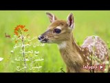 درج درج ياغزال - عدنان الجبوري - كلمات خضرالعبدالله
