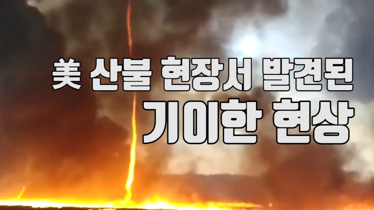 [자막뉴스] "괴물" 美 산불 현장서 발견된 기이한 현상 / YTN