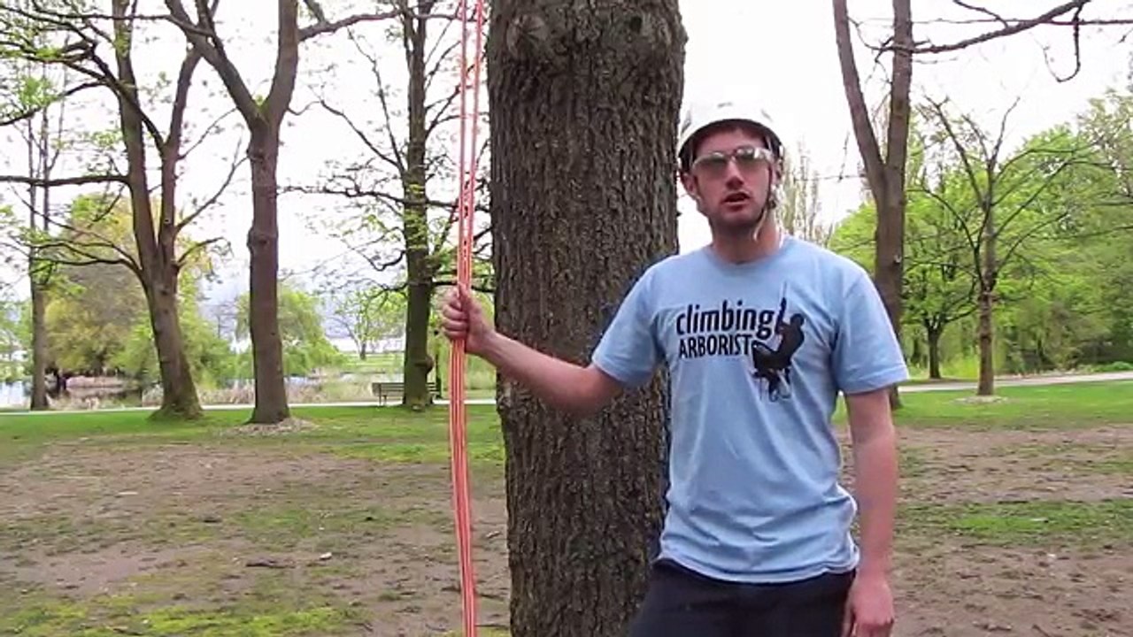 How to rig sections of trunk onto itself | Arborist Rigging techniques