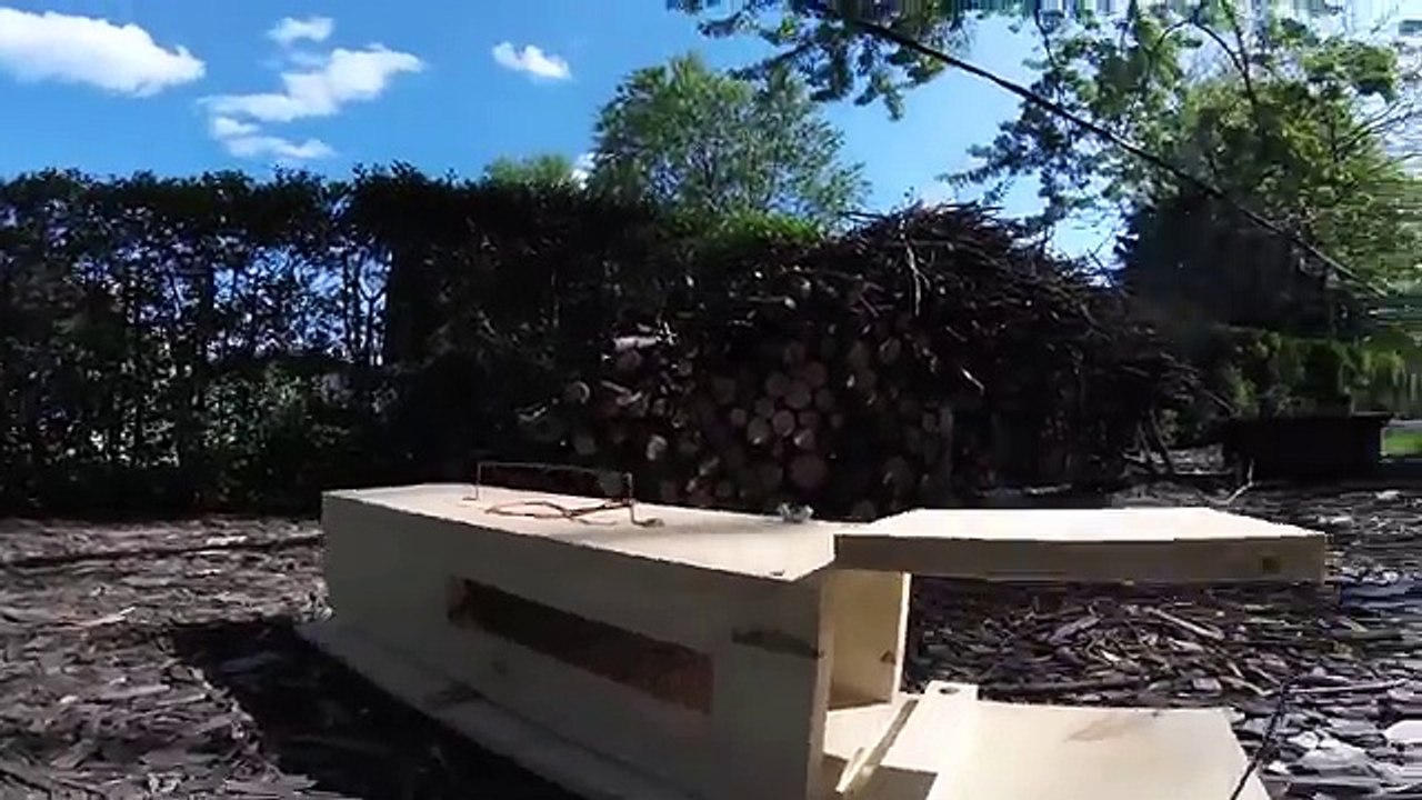 How to make a simple HUMANE TEETER TOTTER squirrel trap video Dailymotion