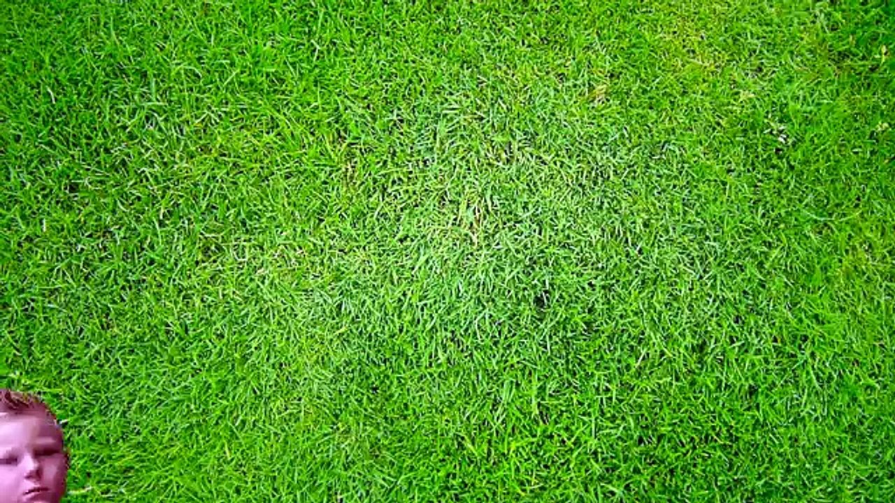 MINUTE TO WIN IT GAMES | Kids Compete!