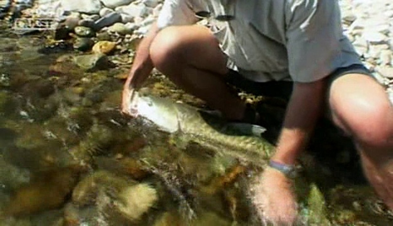 Jungle Hooks S01E05 India The Last Pool