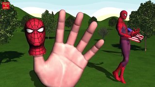 SPIDER MAN WONDER WOMAN DANCE Finger Family | Nursery Rhymes for Children | 3D Animation